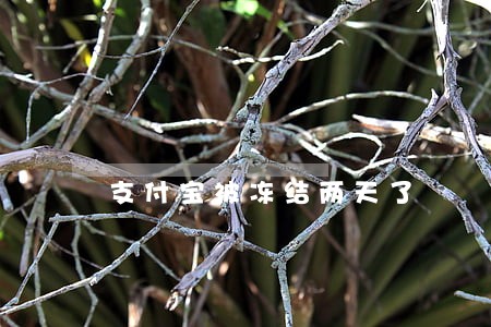 支付宝被冻结两天了 支付宝被冻结两天了