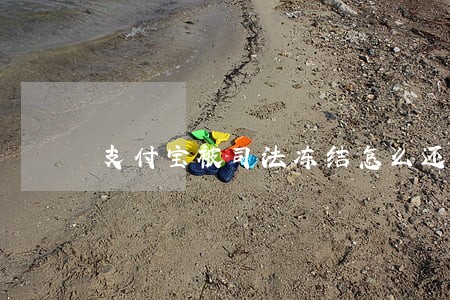 支付宝被司法冻结怎么还款 支付宝被司法冻结怎么还款