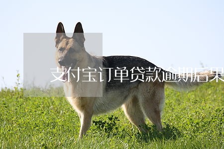 支付宝订单贷款逾期后果 支付宝订单贷款逾期后果