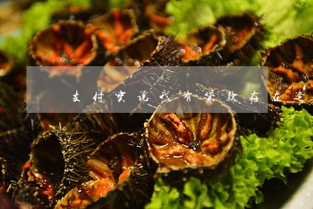 支付宝说我有贷款存在逾期 支付宝说我有贷款存在逾期