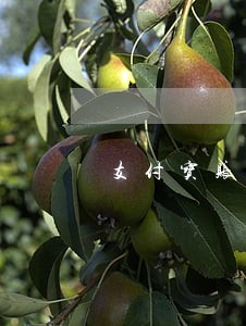 支付宝账户司法冻结 支付宝账户司法冻结