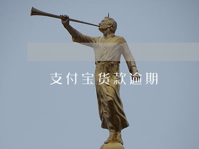 支付宝货款逾期 支付宝货款逾期