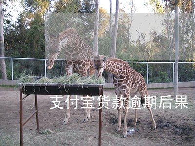 支付宝货款逾期后果 支付宝货款逾期后果