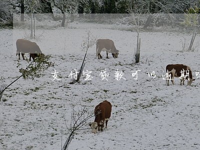 支付宝贷款可以逾期吗 支付宝贷款可以逾期吗