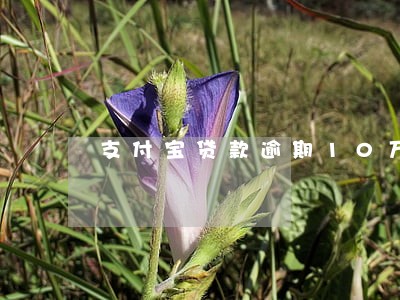 支付宝贷款逾期10万怎么办 支付宝贷款逾期10万怎么办