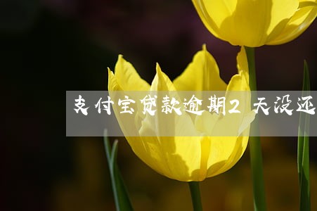 支付宝贷款逾期2天没还 支付宝贷款逾期2天没还