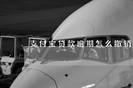 支付宝贷款逾期怎么撤销 支付宝贷款逾期怎么撤销
