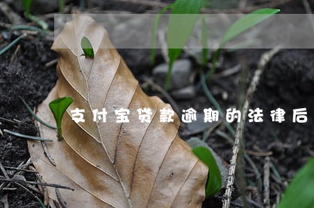 支付宝贷款逾期的法律后果 支付宝贷款逾期的法律后果