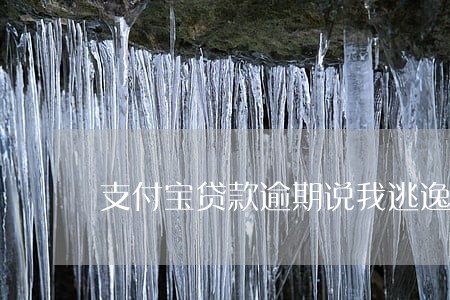 支付宝贷款逾期说我逃逸