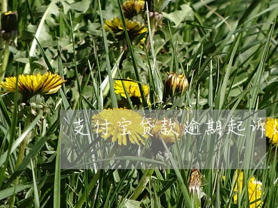 支付宝贷款逾期起诉通知书 支付宝贷款逾期起诉通知书