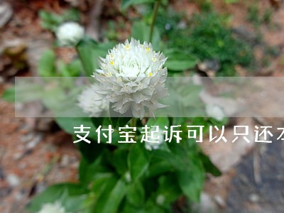支付宝起诉可以只还本金吗 支付宝起诉可以只还本金吗