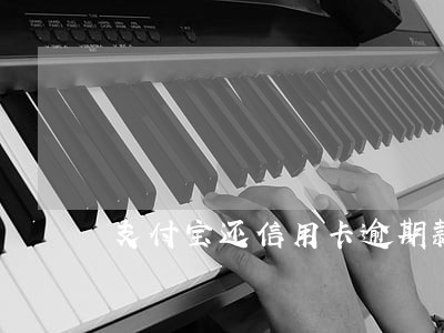 支付宝还信用卡逾期款 支付宝还信用卡逾期款