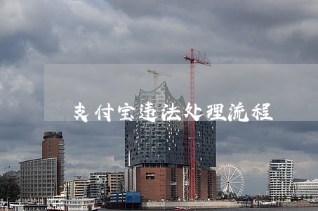 支付宝违法处理流程 支付宝违法处理流程