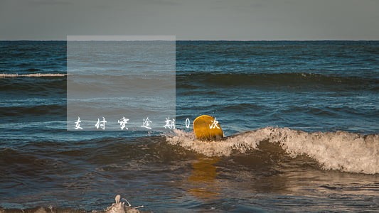 支付宝逾期0次