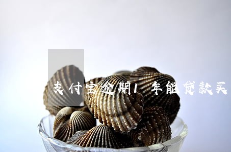 支付宝逾期1年能贷款买房吗