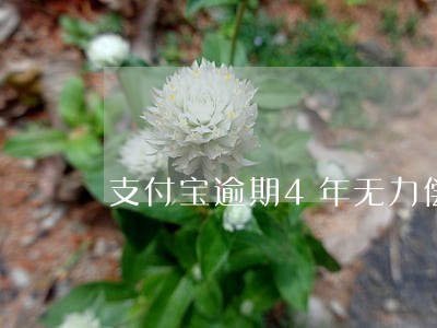 支付宝逾期4年无力偿还 支付宝逾期4年无力偿还