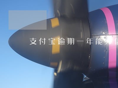 支付宝逾期一年能办信用卡吗 支付宝逾期一年能办信用卡吗