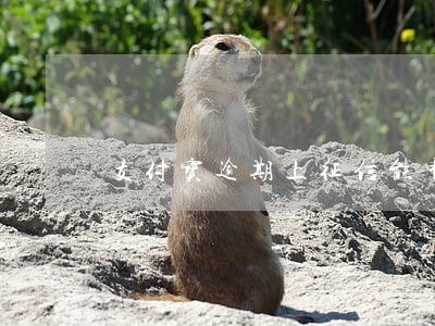 支付宝逾期上征信能申请信用卡吗 支付宝逾期上征信能申请信用卡吗