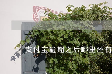 支付宝逾期之后哪里还有贷款 支付宝逾期之后哪里还有贷款