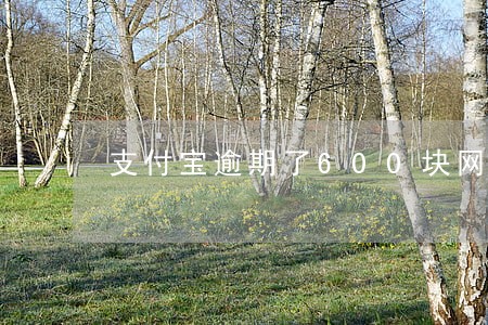 支付宝逾期了600块网商贷 支付宝逾期了600块网商贷