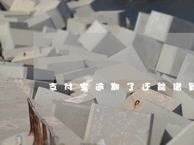 支付宝逾期了还能借到网贷么 支付宝逾期了还能借到网贷么