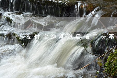 支付宝逾期以后信用卡不能用
