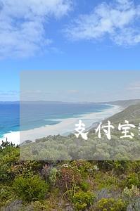 支付宝逾期会不会扣绑定的信用卡
