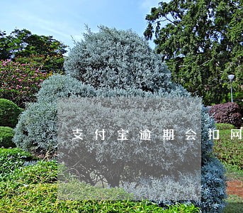 支付宝逾期会扣网商银行 支付宝逾期会扣网商银行