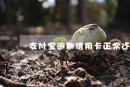 支付宝逾期信用卡正常还款 支付宝逾期信用卡正常还款