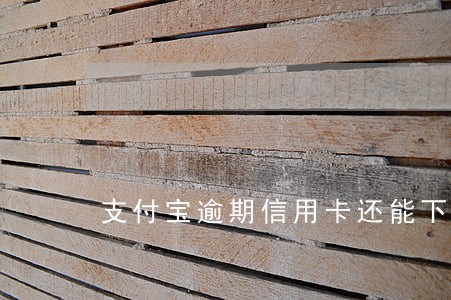 支付宝逾期信用卡还能下吗 支付宝逾期信用卡还能下吗
