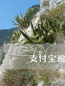 支付宝逾期修复怎么弄 支付宝逾期修复怎么弄
