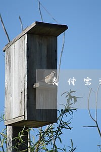 支付宝逾期其他功能影响收款码吗 支付宝逾期其他功能影响收款码吗