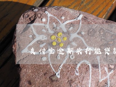 支付宝逾期农行能贷款吗 支付宝逾期农行能贷款吗