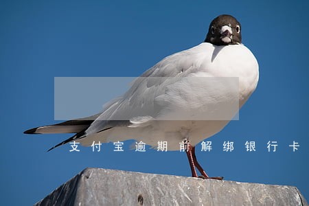 支付宝逾期前解绑银行卡 支付宝逾期前解绑银行卡