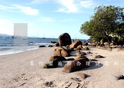 支付宝逾期办理贷款利率