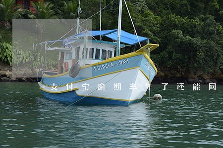 支付宝逾期半年了还能网贷吗 支付宝逾期半年了还能网贷吗