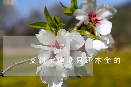 支付宝逾期只还本金的 支付宝逾期只还本金的