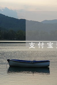支付宝逾期可以只还本金不还利息 支付宝逾期可以只还本金不还利息