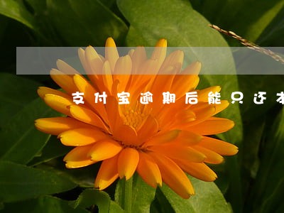 支付宝逾期后能只还本金吗 支付宝逾期后能只还本金吗