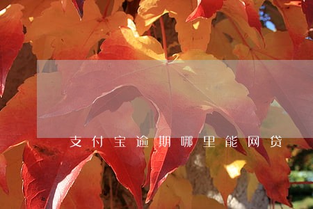 支付宝逾期哪里能网贷 支付宝逾期哪里能网贷
