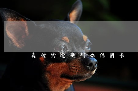 支付宝逾期对办信用卡 支付宝逾期对办信用卡