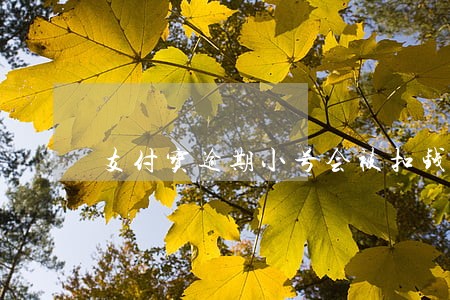 支付宝逾期小号会被扣钱吗 支付宝逾期小号会被扣钱吗