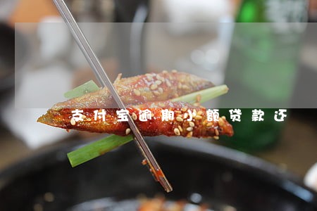支付宝逾期小额贷款还 支付宝逾期小额贷款还