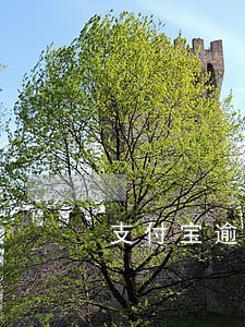 支付宝逾期影响银行贷款拿 支付宝逾期影响银行贷款拿