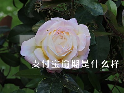 支付宝逾期是什么样 支付宝逾期是什么样