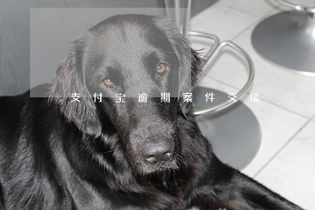 支付宝逾期案件交接 支付宝逾期案件交接
