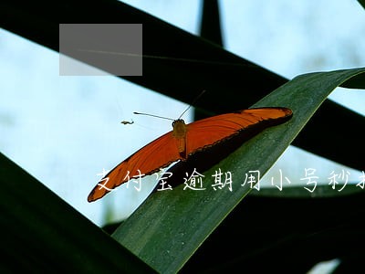 支付宝逾期用小号秒扣网商贷 支付宝逾期用小号秒扣网商贷