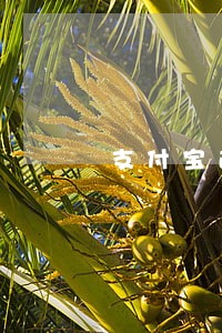 支付宝逾期的信用卡