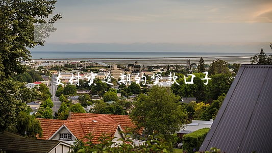支付宝逾期的贷款口子