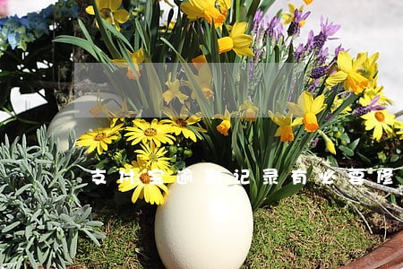 支付宝逾期记录有必要修复吗 支付宝逾期记录有必要修复吗